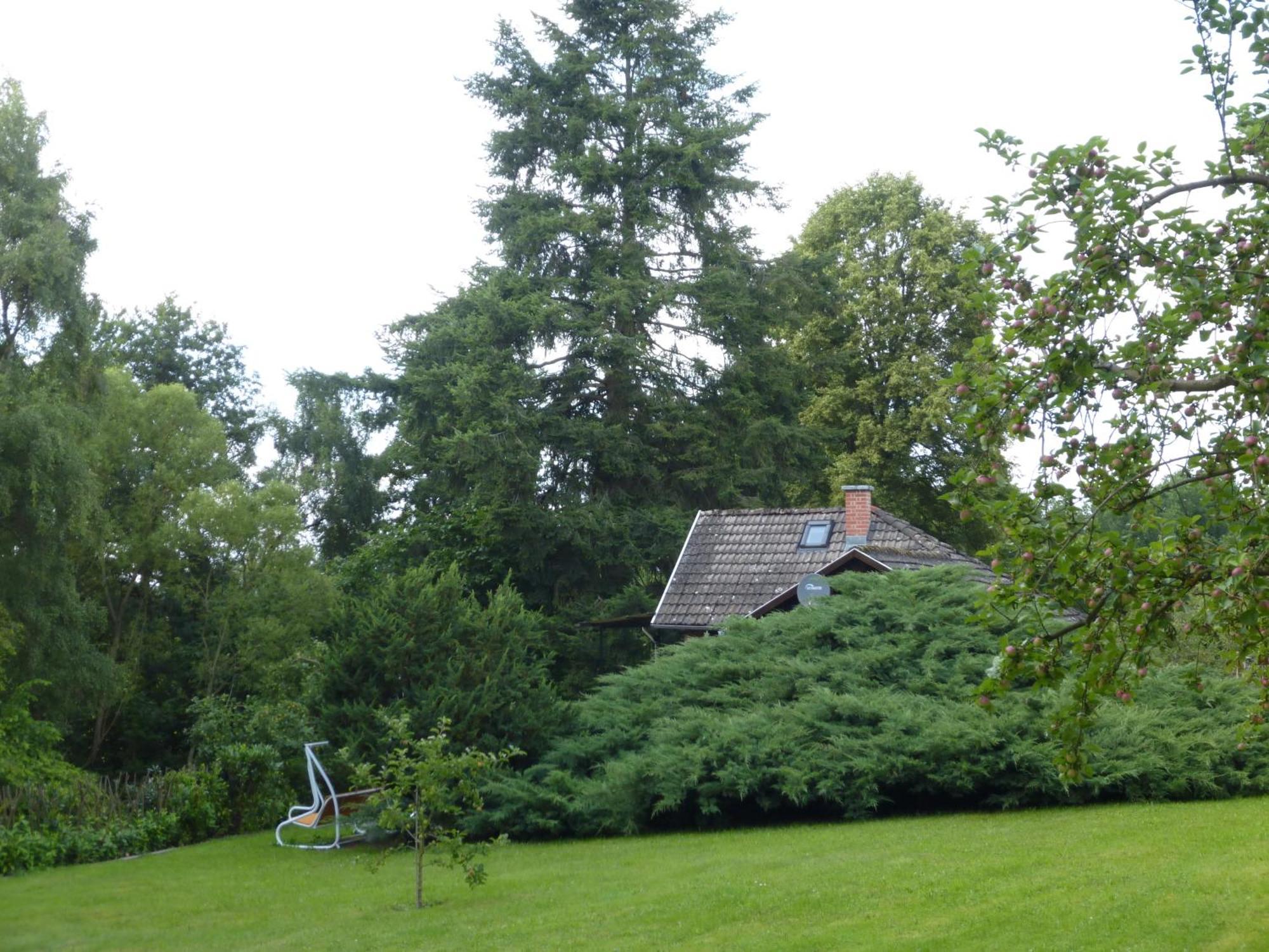 Villa Hasenecke Bad Salzungen Exterior foto
